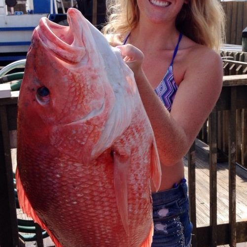 Snapper Fishing Tips  Port Canaveral & Cocoa Beach